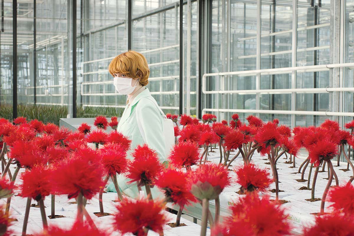 The best new books, films and games to enjoy in 2020