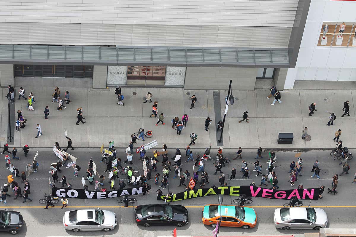 vegan activists in Toronto