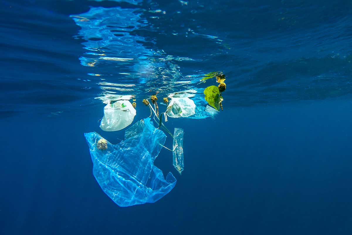 Plastic Bags In Water