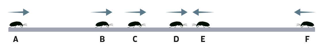 New Scientist. Science news and long reads from expert journalists, covering developments in science, technology, health and the environment on the website and the magazine.