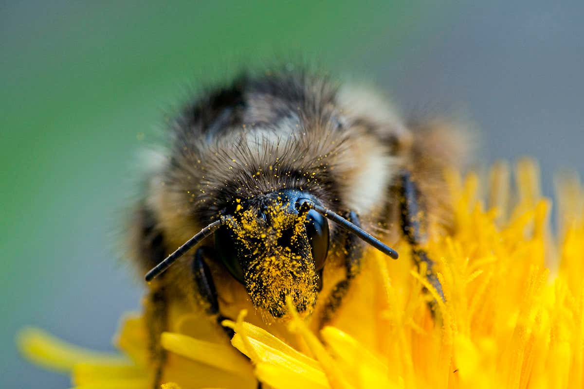 New Scientist. Science news and long reads from expert journalists, covering developments in science, technology, health and the environment on the website and the magazine.