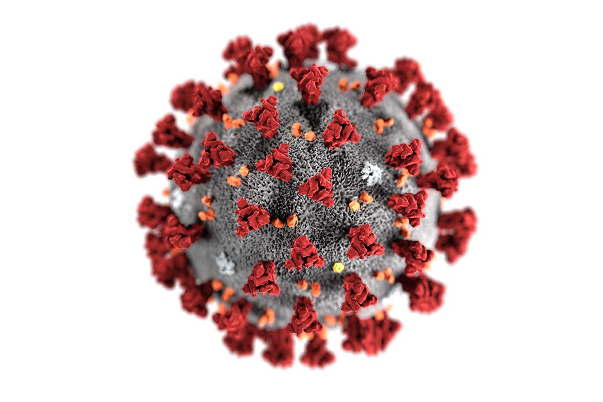 Coronavirus