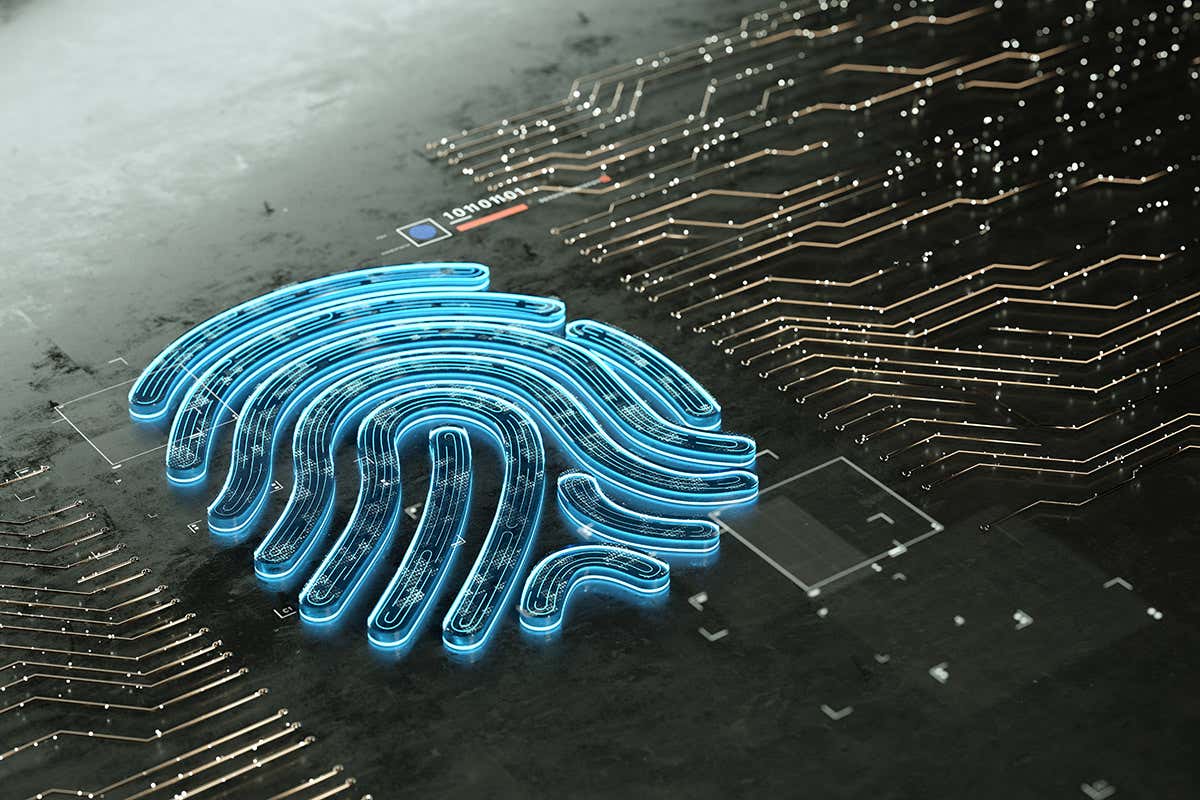 Digital fingerprints