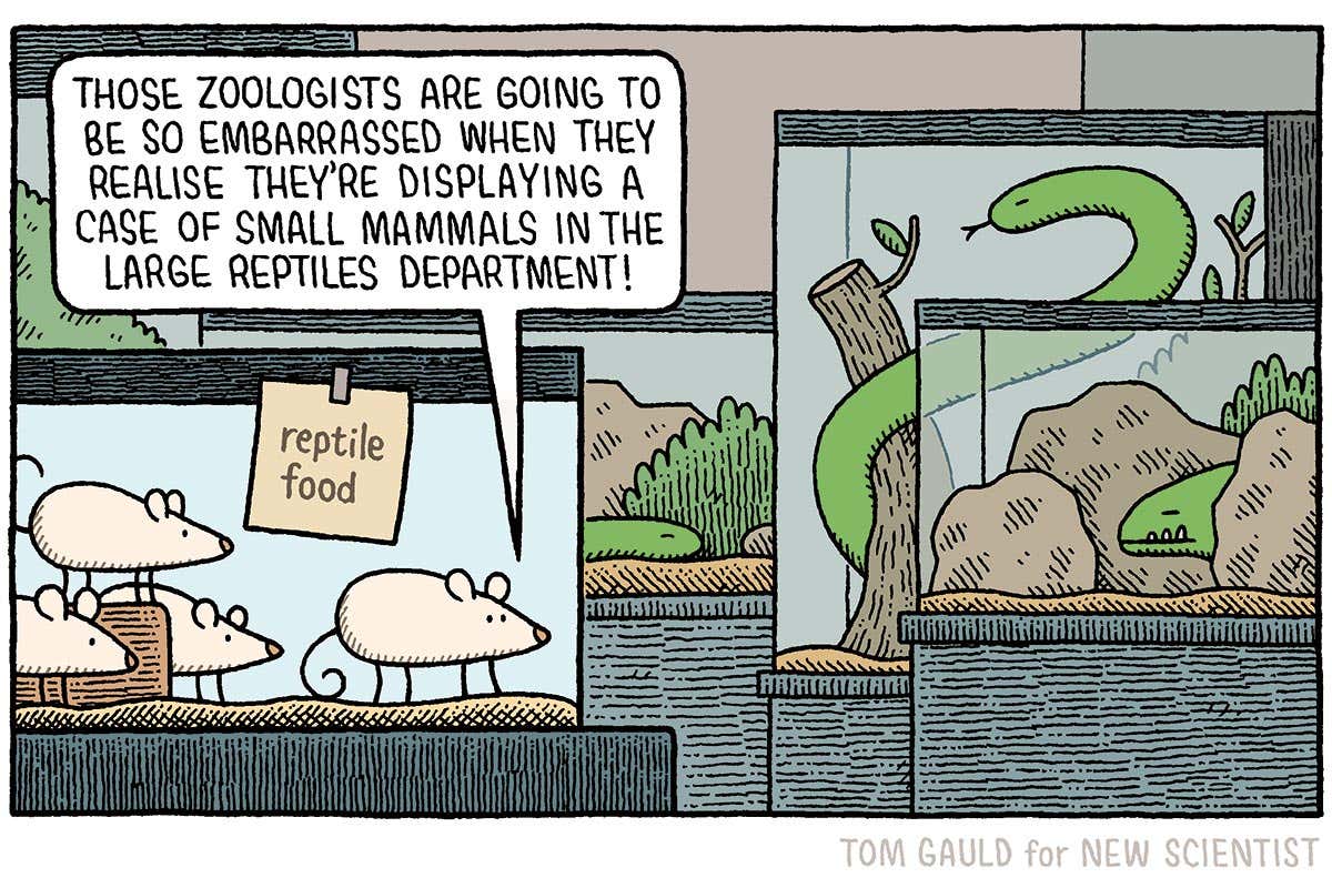 New Scientist. Science news and long reads from expert journalists, covering developments in science, technology, health and the environment on the website and the magazine.