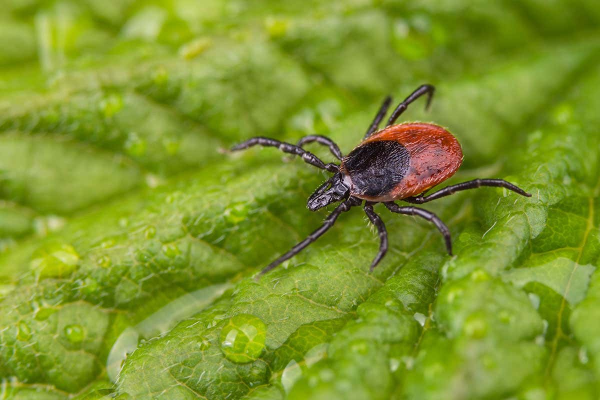 New Scientist. Science news and long reads from expert journalists, covering developments in science, technology, health and the environment on the website and the magazine.