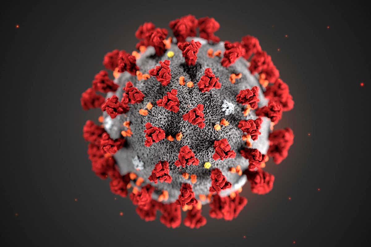 Illustration of the ultrastructure of the Covid-19 virus