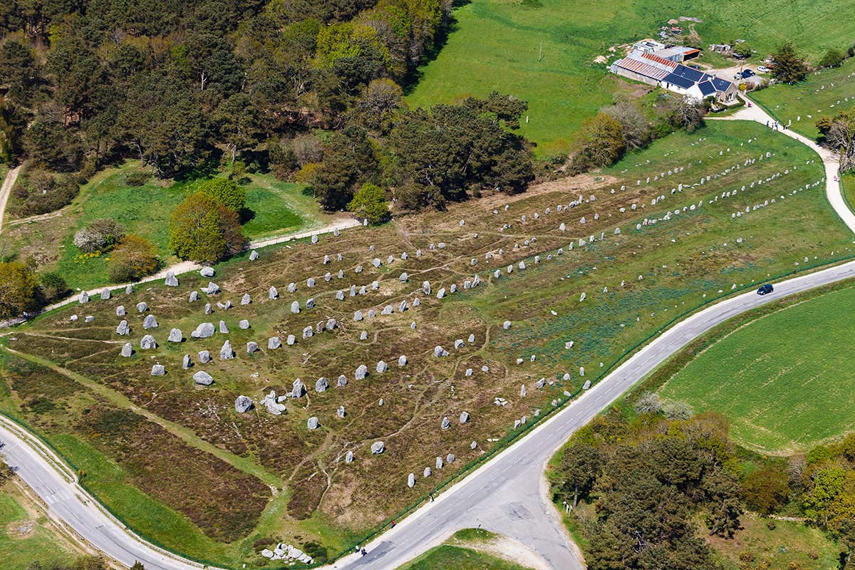New Scientist. Science news and long reads from expert journalists, covering developments in science, technology, health and the environment on the website and the magazine.