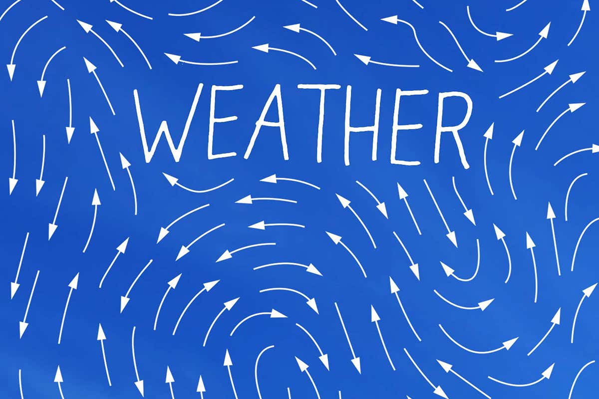 Jenny Offill’s sharp new novel Weather examines individual anxieties about the climate emergency.
