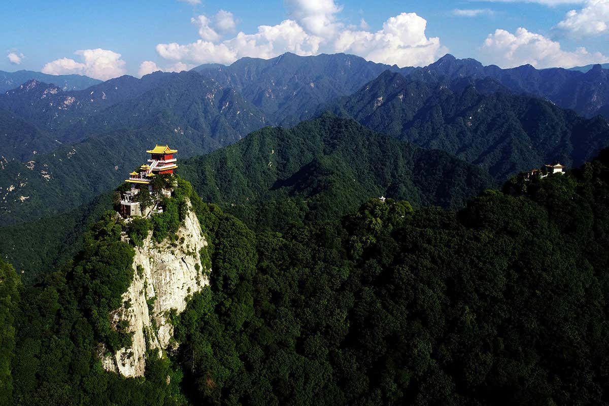 New Scientist. Science news and long reads from expert journalists, covering developments in science, technology, health and the environment on the website and the magazine.