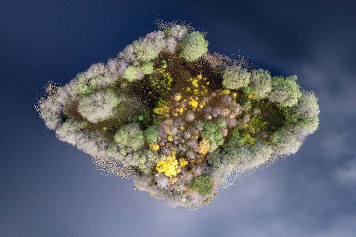 Lush island landscape in Polish lake captured from above