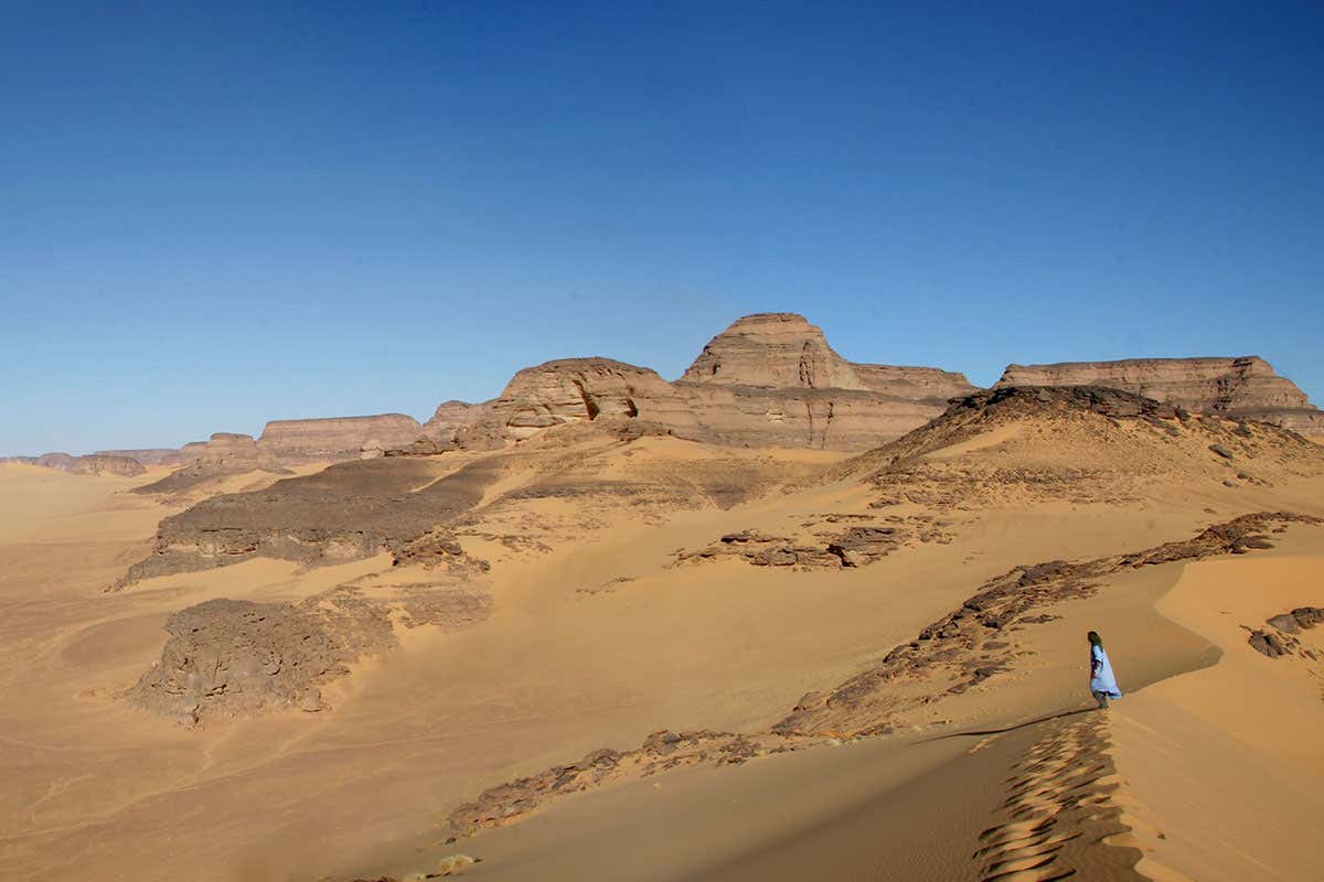 Ancient humans in the Sahara ate fish before the lakes dried up
