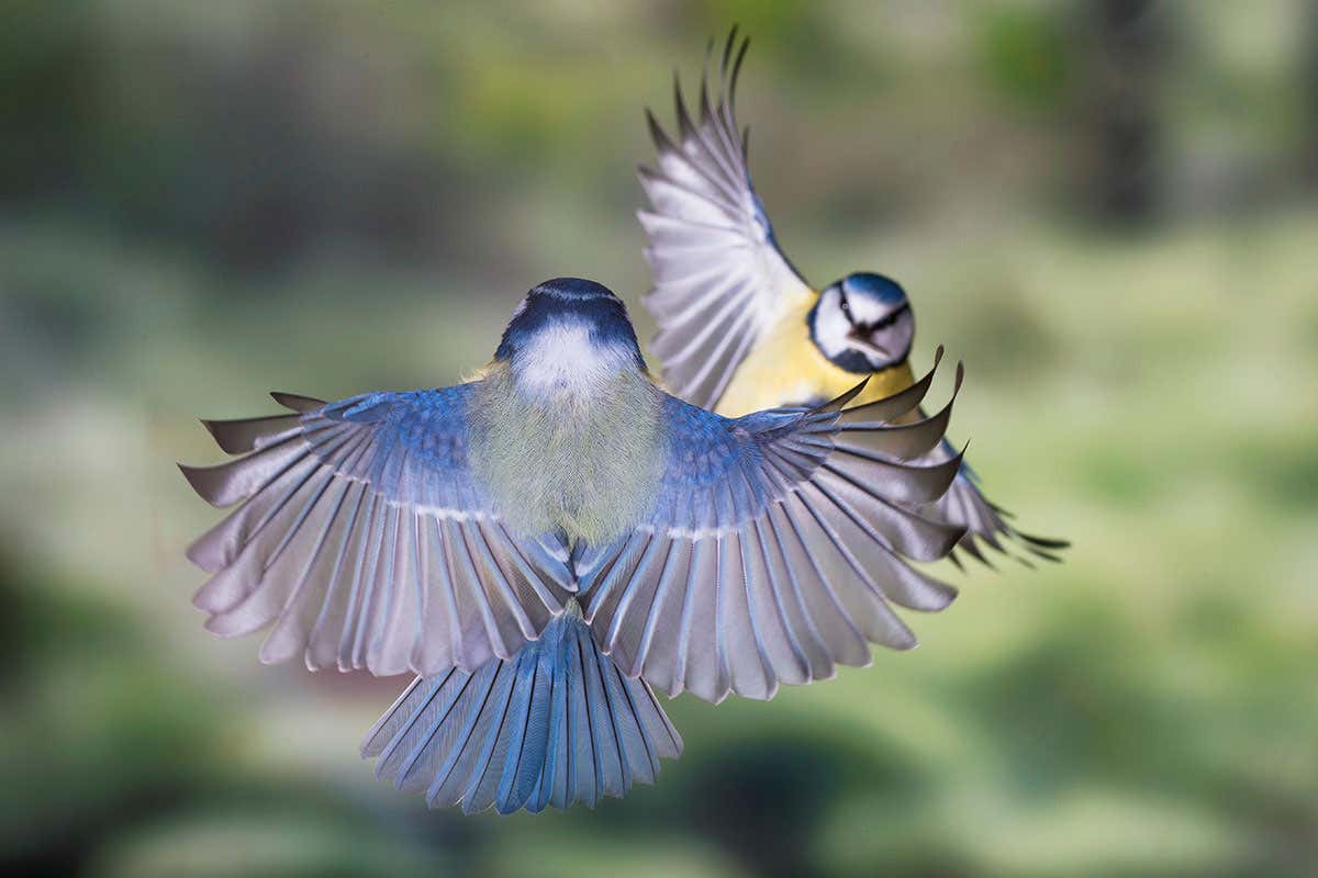 New Scientist. Science news and long reads from expert journalists, covering developments in science, technology, health and the environment on the website and the magazine.