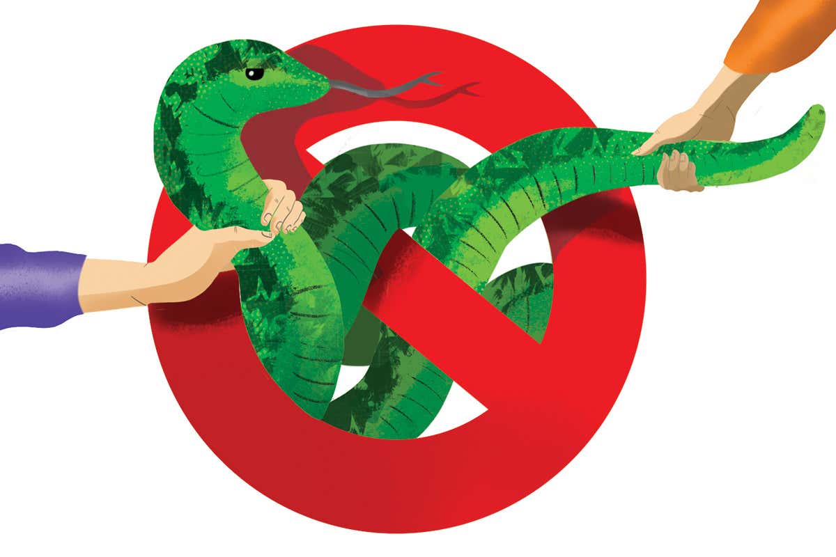 New Scientist. Science news and long reads from expert journalists, covering developments in science, technology, health and the environment on the website and the magazine.