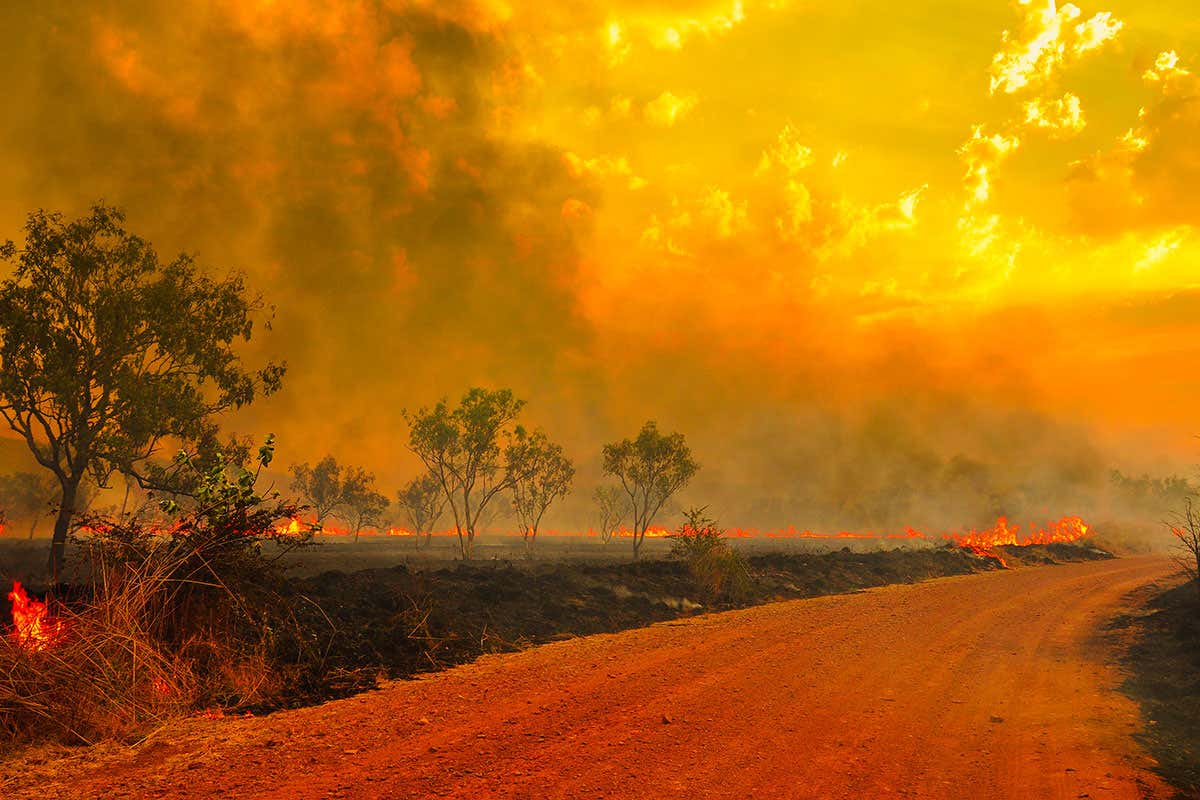 Australian bushfire