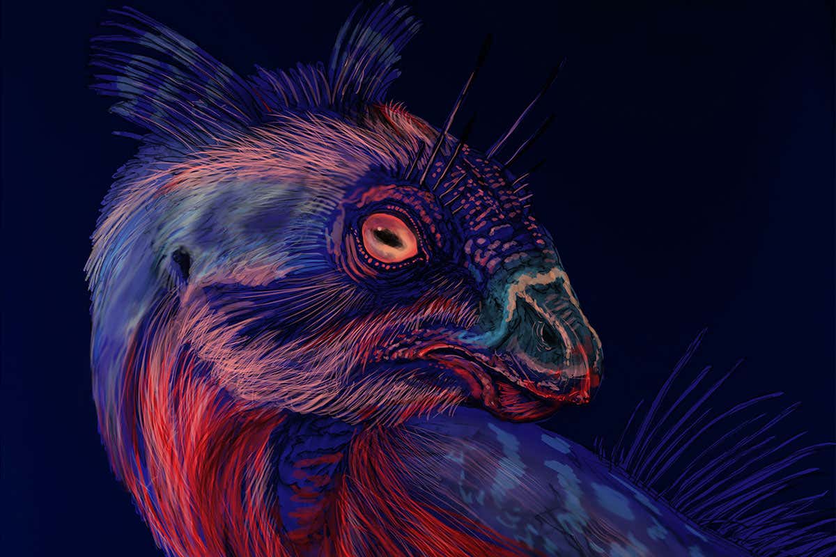 Some dinosaurs might have had fluorescent horns or feathers