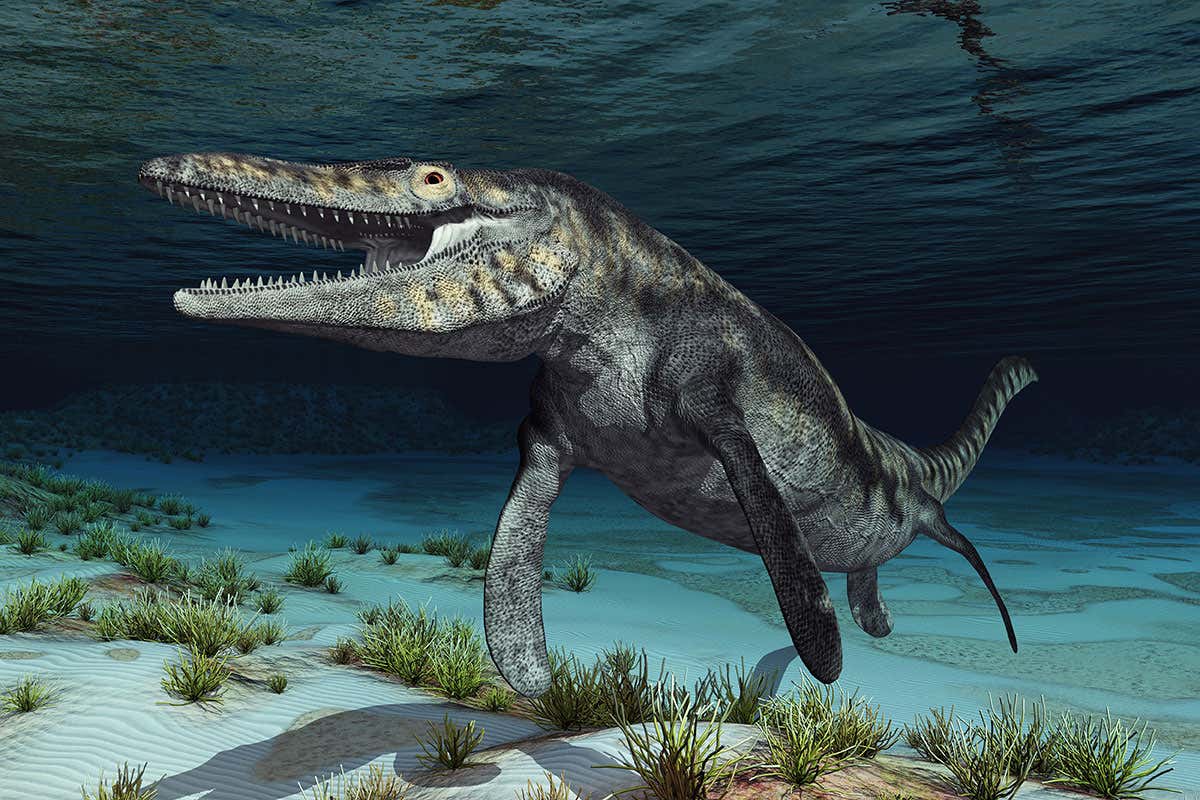 New Scientist. Science news and long reads from expert journalists, covering developments in science, technology, health and the environment on the website and the magazine.