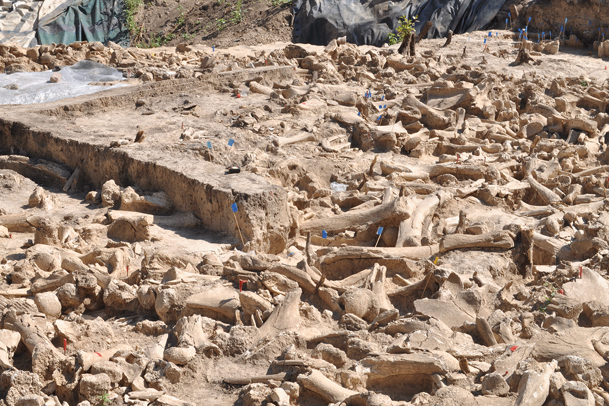 ‘Bonehenge’: Stone Age structure of mammoth bones discovered in Russia