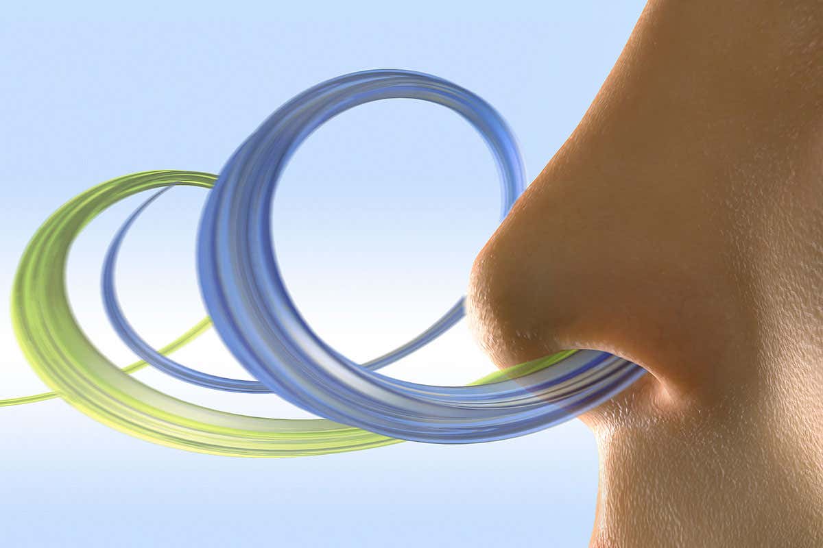 New Scientist. Science news and long reads from expert journalists, covering developments in science, technology, health and the environment on the website and the magazine.