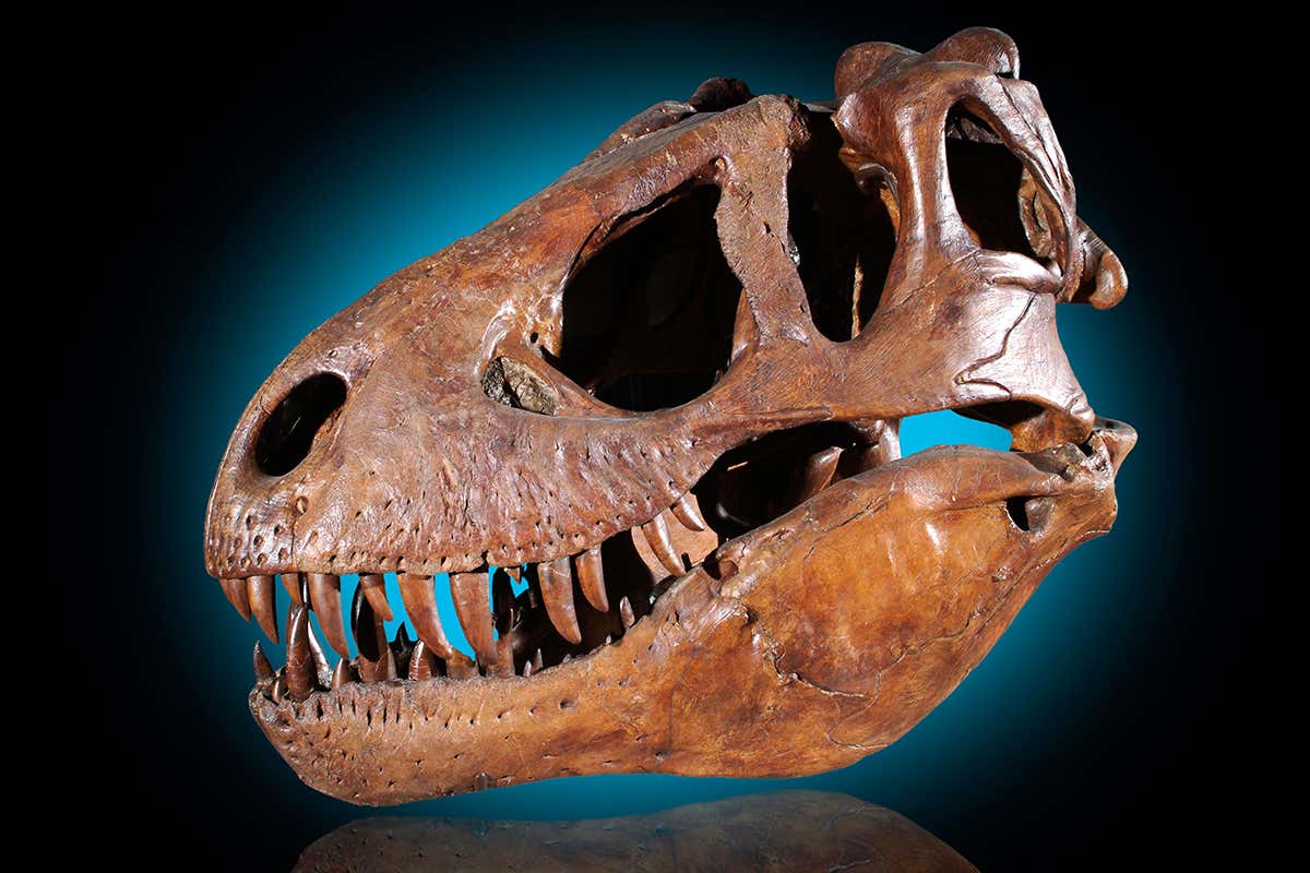 New Scientist. Science news and long reads from expert journalists, covering developments in science, technology, health and the environment on the website and the magazine.