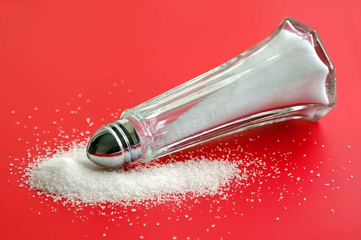 Eating too much salt seems to impair body's ability to fight bacteria