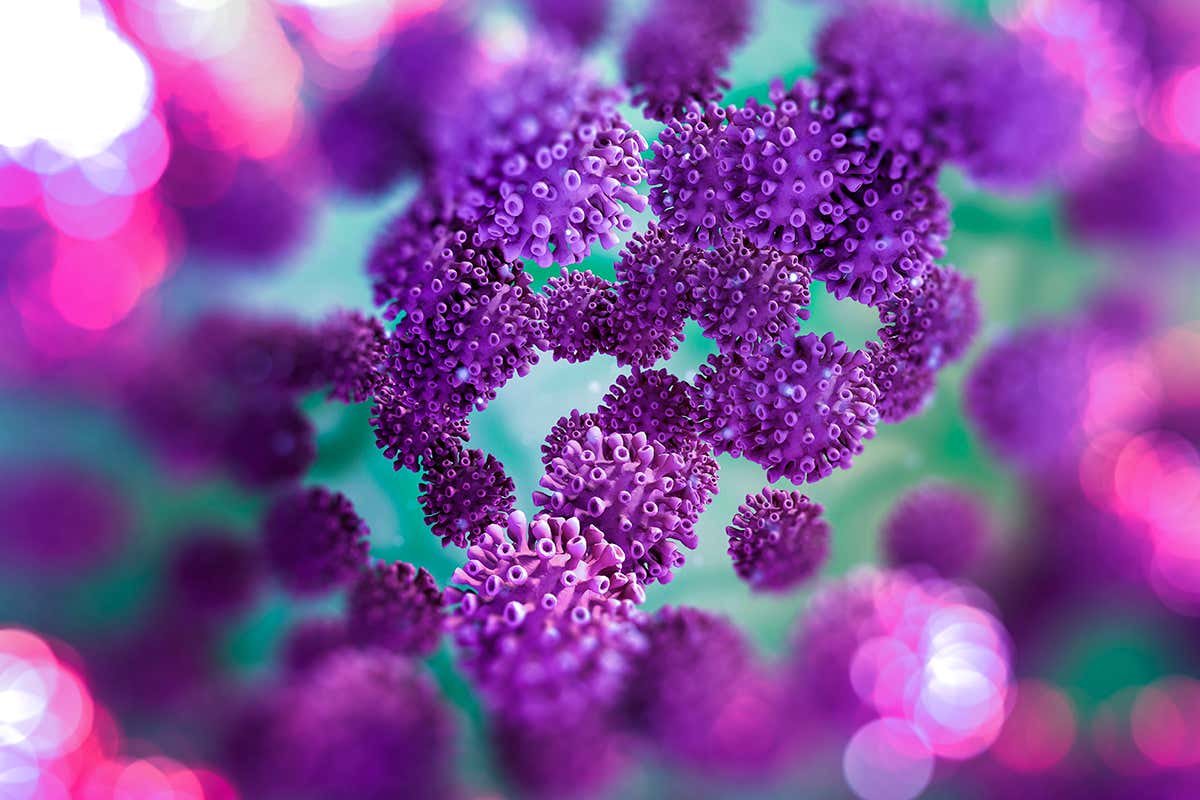 An illustration of coronavirus particles