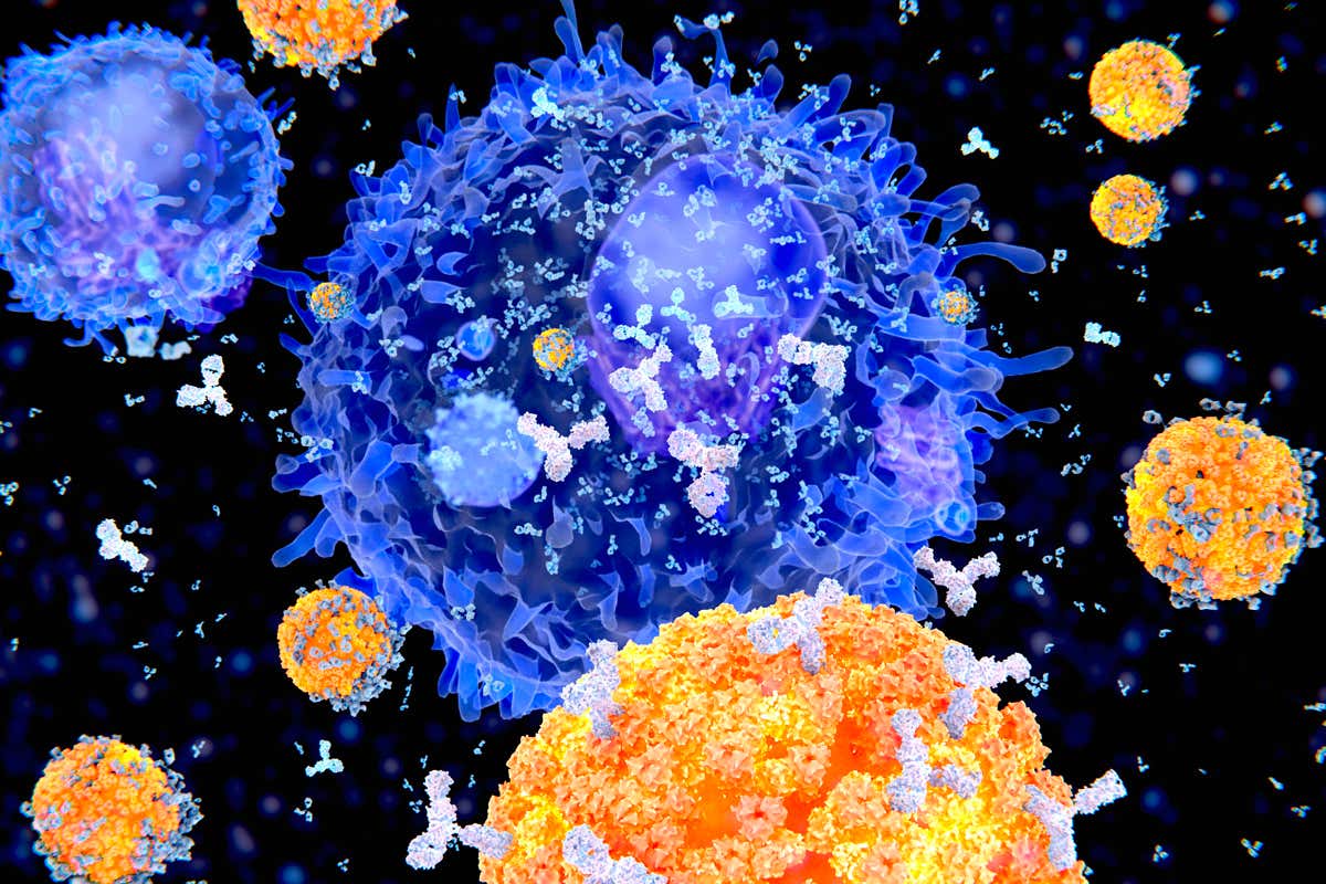 Computer illustration of plasma cells (B-cells) secreting antibodies against viruses