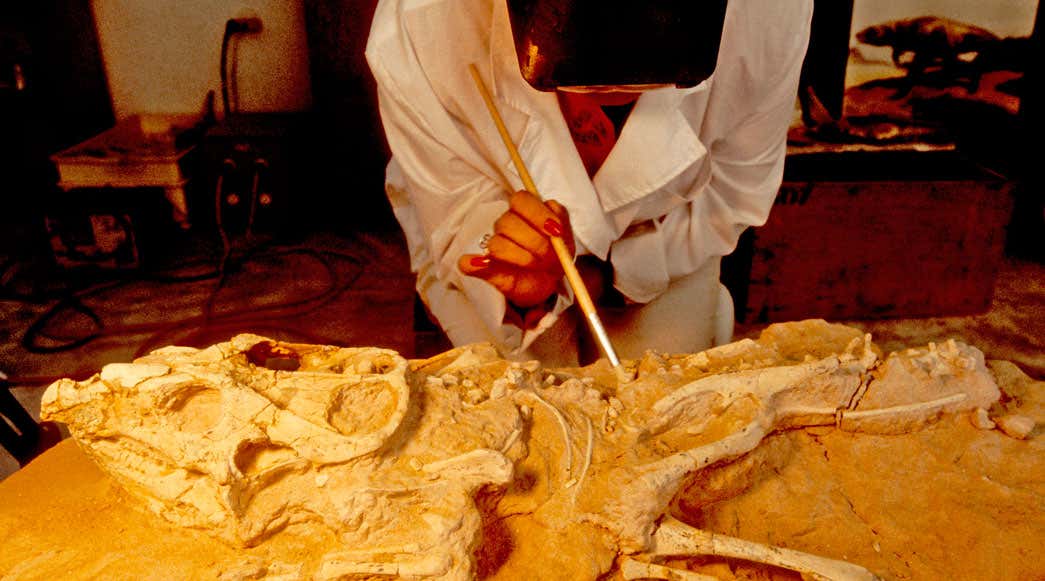 New Scientist. Science news and long reads from expert journalists, covering developments in science, technology, health and the environment on the website and the magazine.