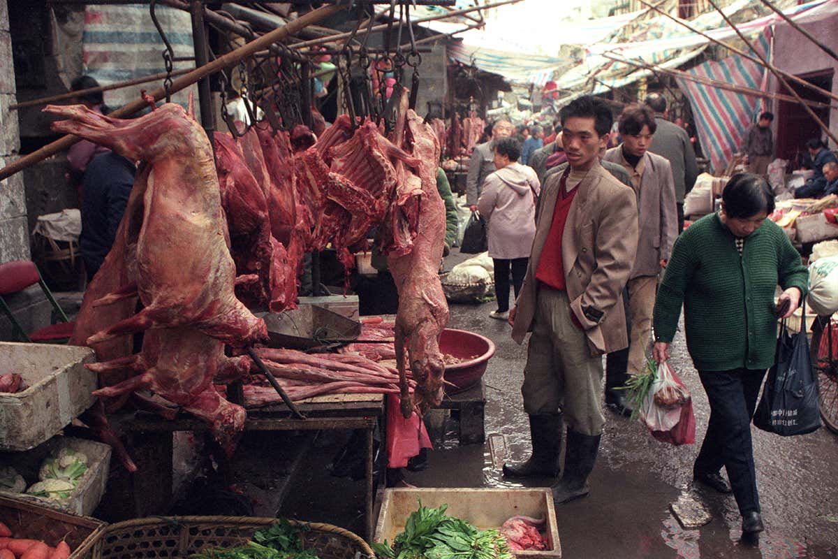 Animal market