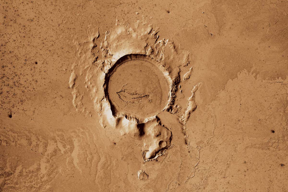 New Scientist. Science news and long reads from expert journalists, covering developments in science, technology, health and the environment on the website and the magazine.