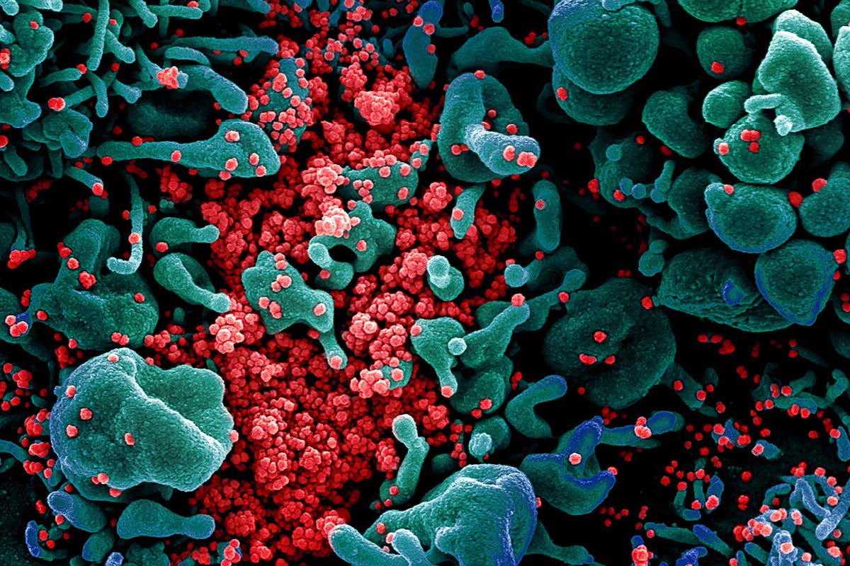 New Scientist. Science news and long reads from expert journalists, covering developments in science, technology, health and the environment on the website and the magazine.