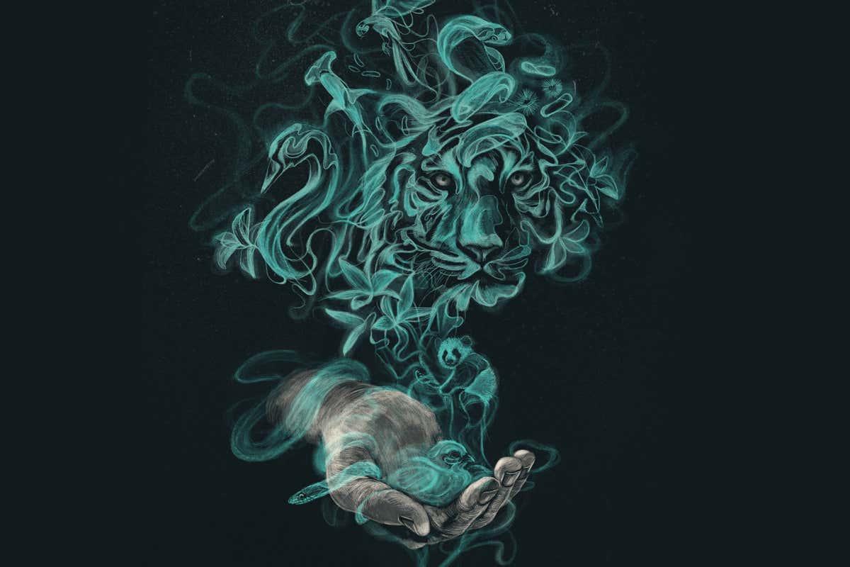 New Scientist. Science news and long reads from expert journalists, covering developments in science, technology, health and the environment on the website and the magazine.