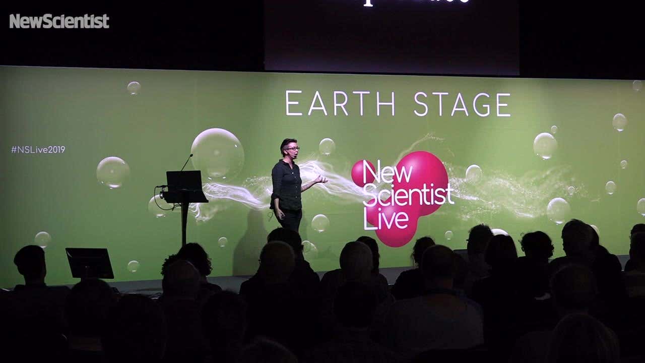 Charlotte Evans talks parasites at New Scientist Live 2019