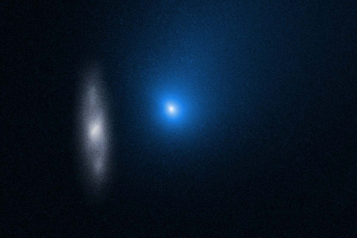 Interstellar comet Borisov came from a cold and distant home star