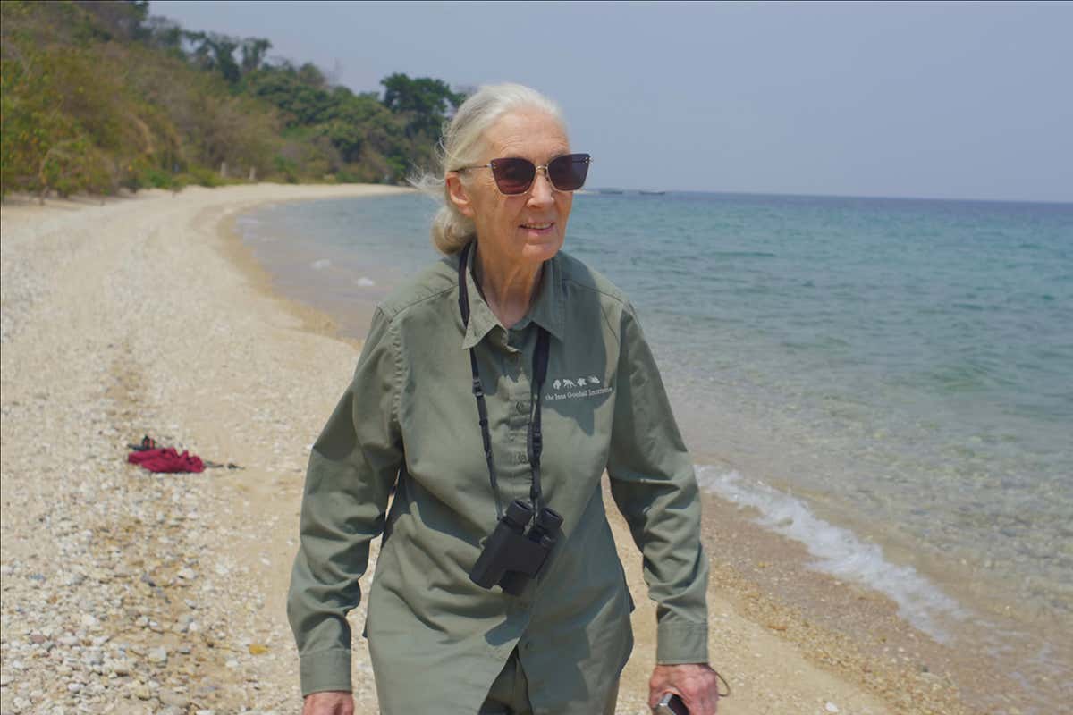 Dr. Jane Goodall walking along the beach of Lake Tanganyika. National Geographic's JANE GOODALL: THE HOPE picks up where JANE (2017) left off, following Jane Goodall through three generations of advocacy work as she meets with everyone from schoolchildren in Zanzibar to Prince Harry and spreads a message of hope in a time of immense environmental change. (National Geographic/Michael Haertlein)