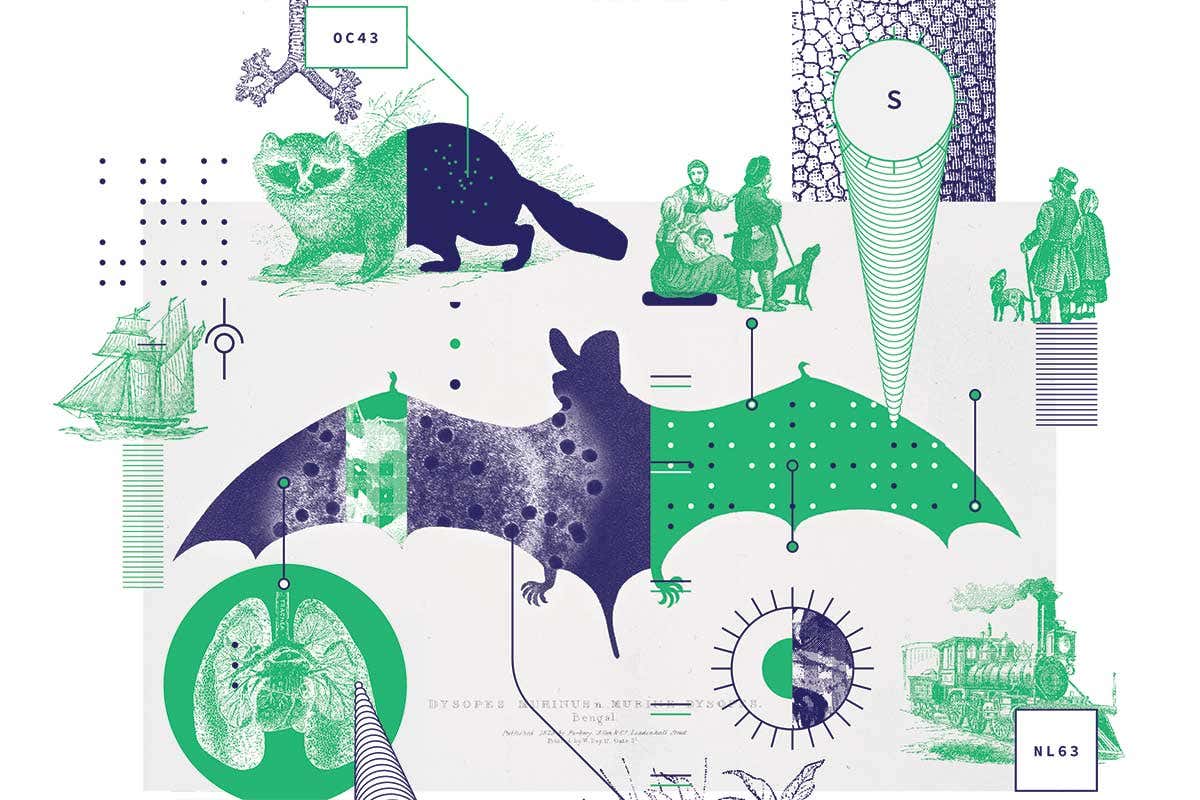 New Scientist. Science news and long reads from expert journalists, covering developments in science, technology, health and the environment on the website and the magazine.