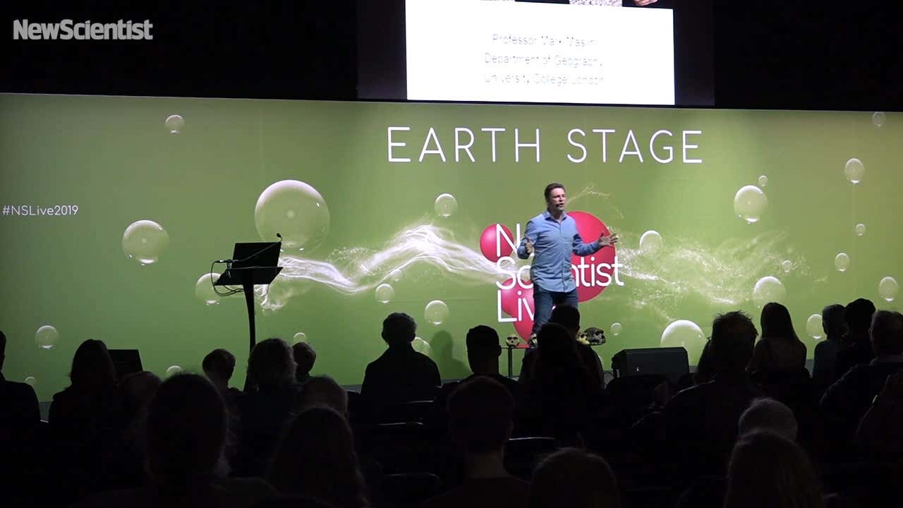 Homo sapiens: Why did evolution favour the brainy ape?