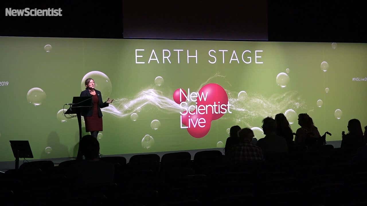 Why bats and nocturnal animals hate light pollution?