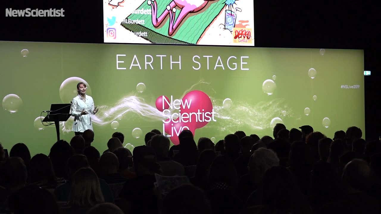 What lies beneath: diving to the UK’s answer to the Great Barrier Reef