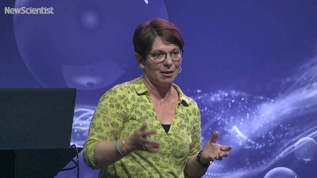 Think of the science of fatbergs next time you flush toilet paper