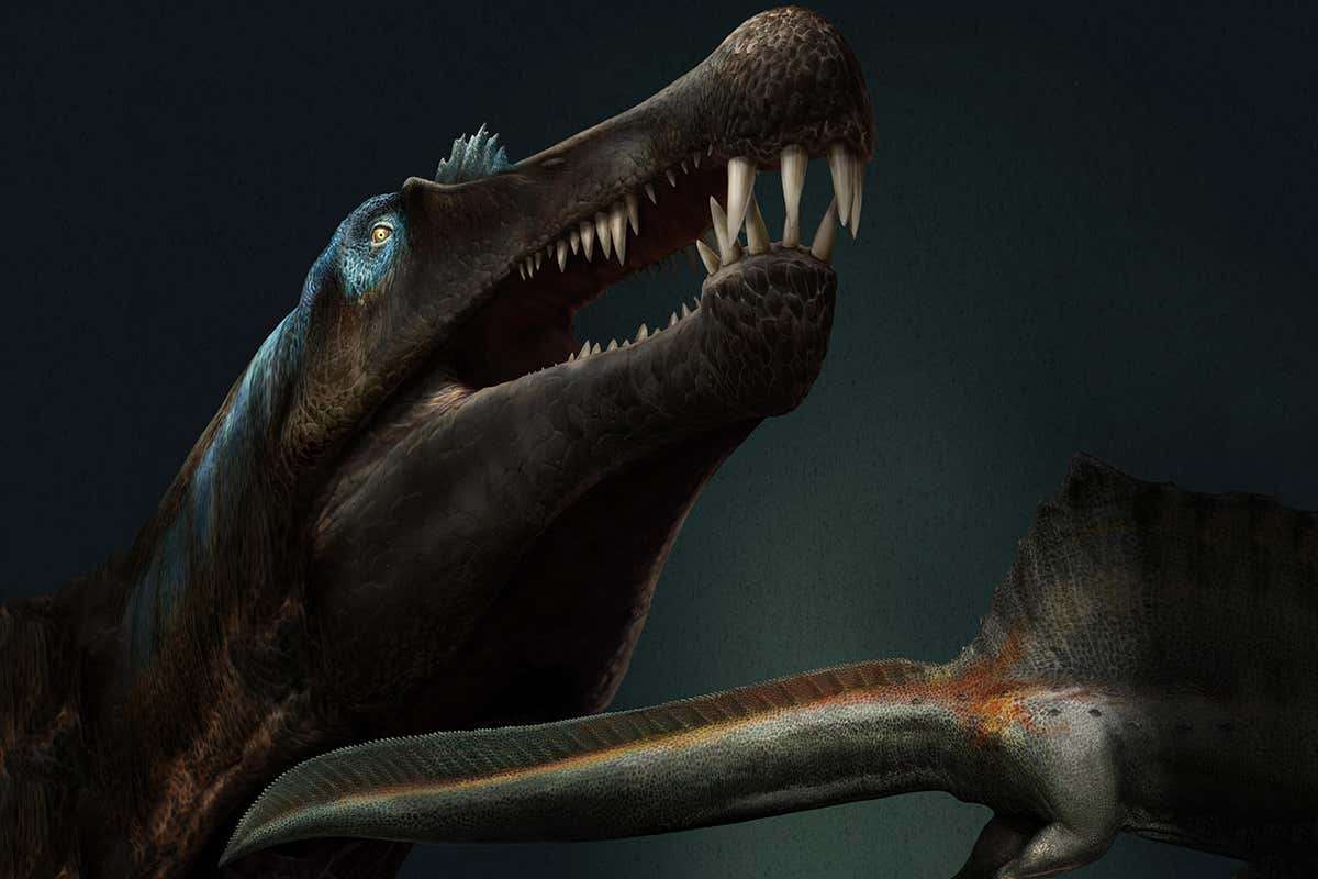 Spinosaurus