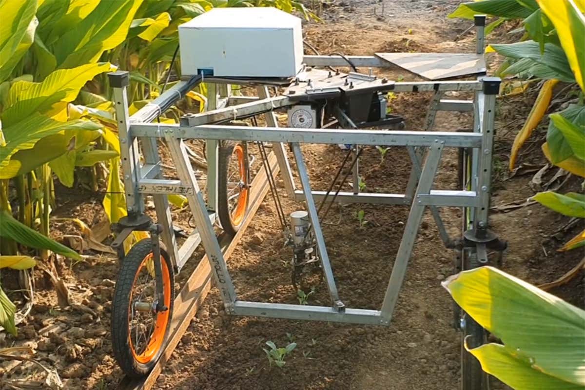 Robot with pincers can detect and remove weeds without harming crops