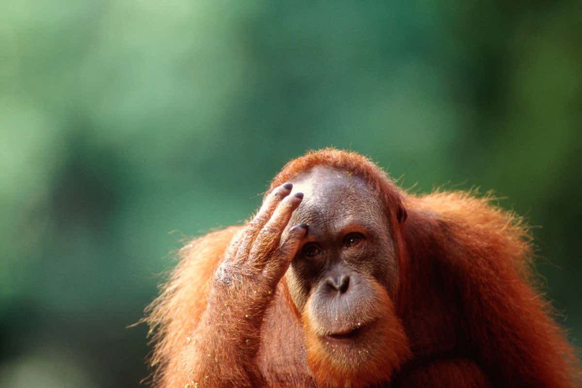 New Scientist. Science news and long reads from expert journalists, covering developments in science, technology, health and the environment on the website and the magazine.