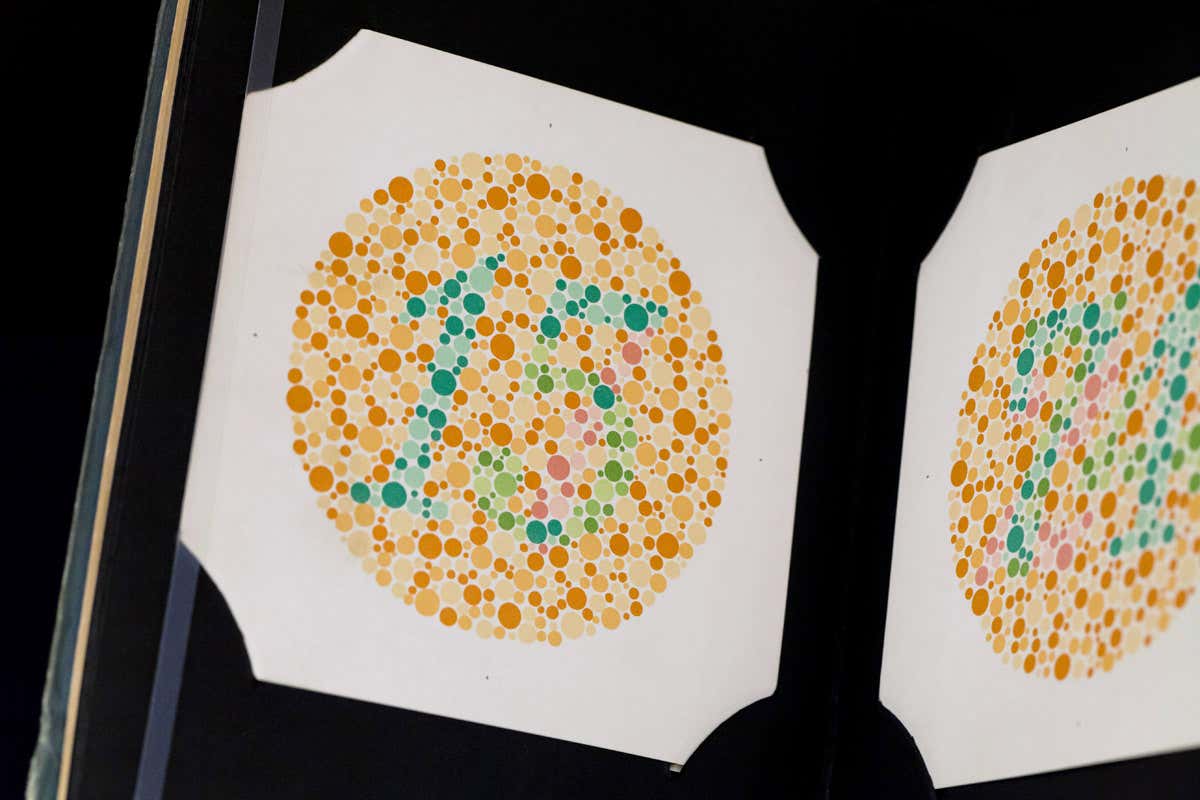 Ishihara color perception test chart