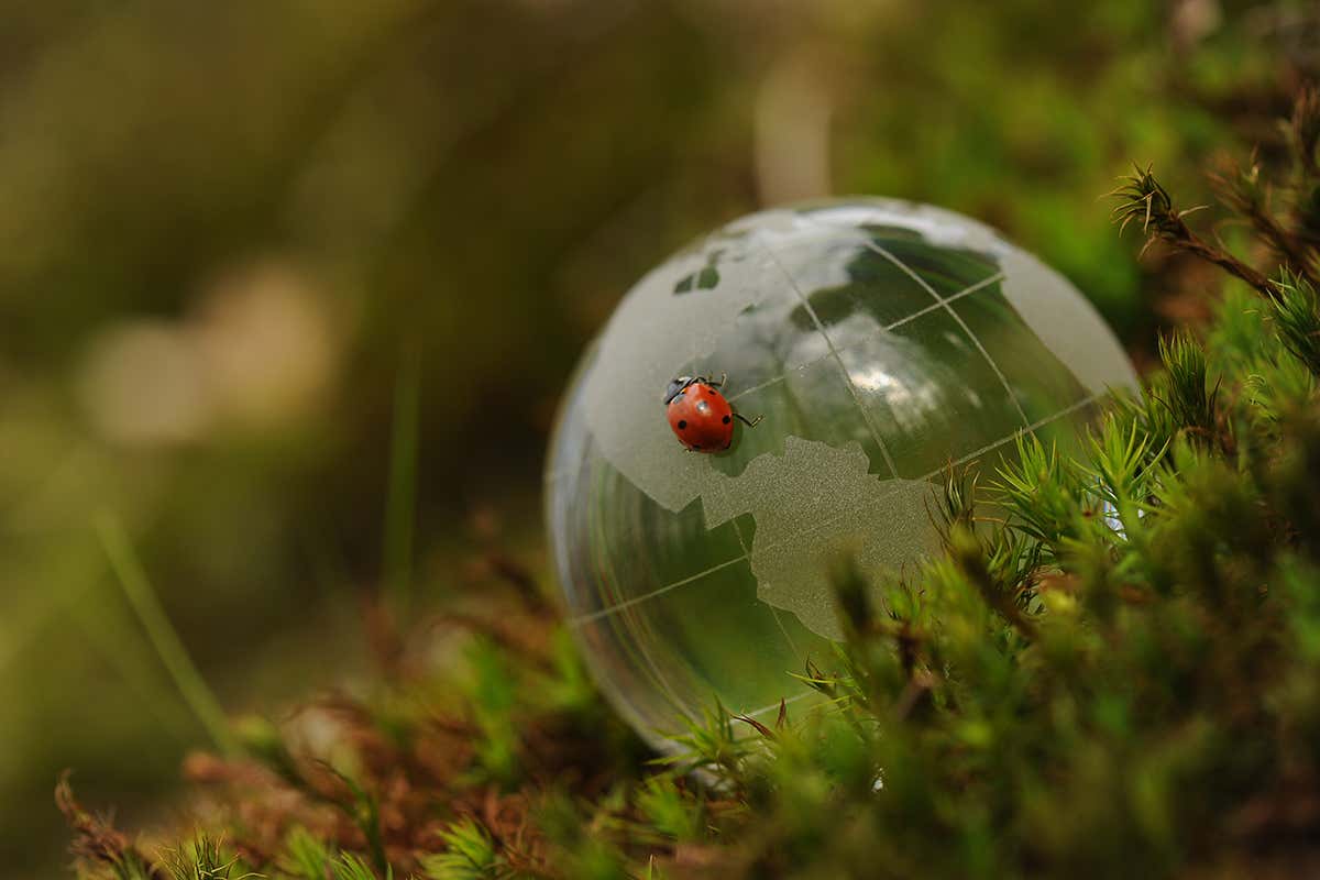 New Scientist. Science news and long reads from expert journalists, covering developments in science, technology, health and the environment on the website and the magazine.