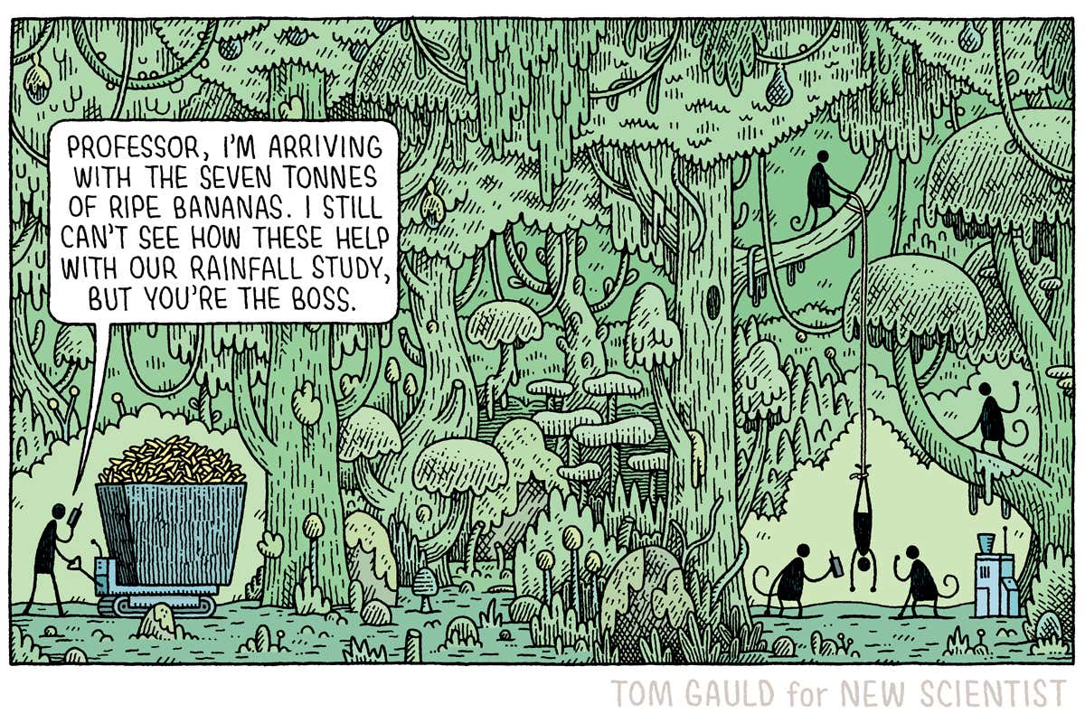 New Scientist. Science news and long reads from expert journalists, covering developments in science, technology, health and the environment on the website and the magazine.