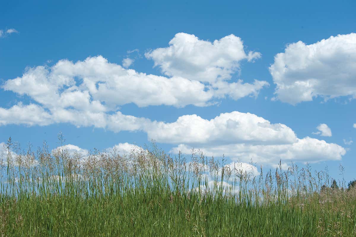 New Scientist. Science news and long reads from expert journalists, covering developments in science, technology, health and the environment on the website and the magazine.