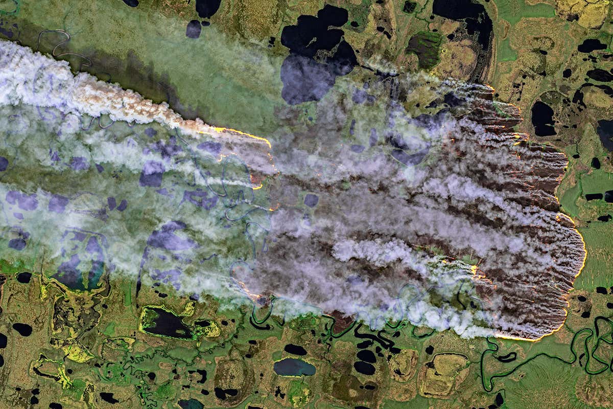 'Zombie' fires are burning the Arctic after smouldering under snow