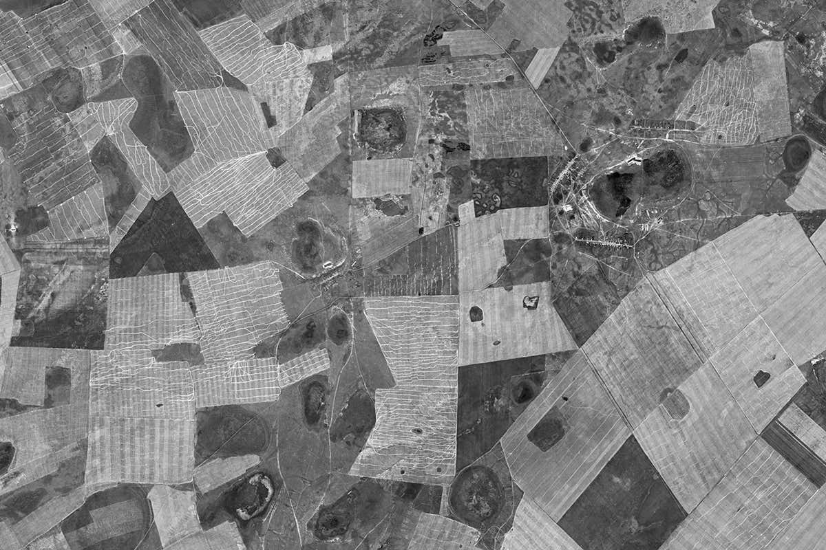 Cold war spy satellite images reveal long-term decline in biodiversity