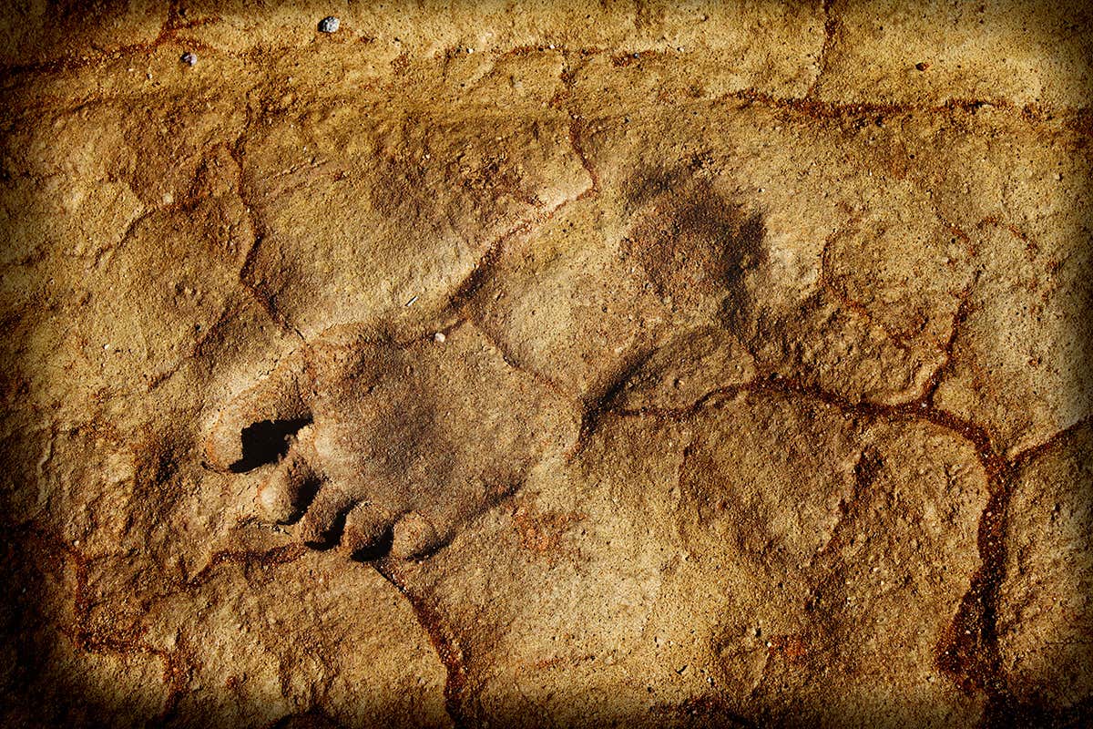 New Scientist. Science news and long reads from expert journalists, covering developments in science, technology, health and the environment on the website and the magazine.