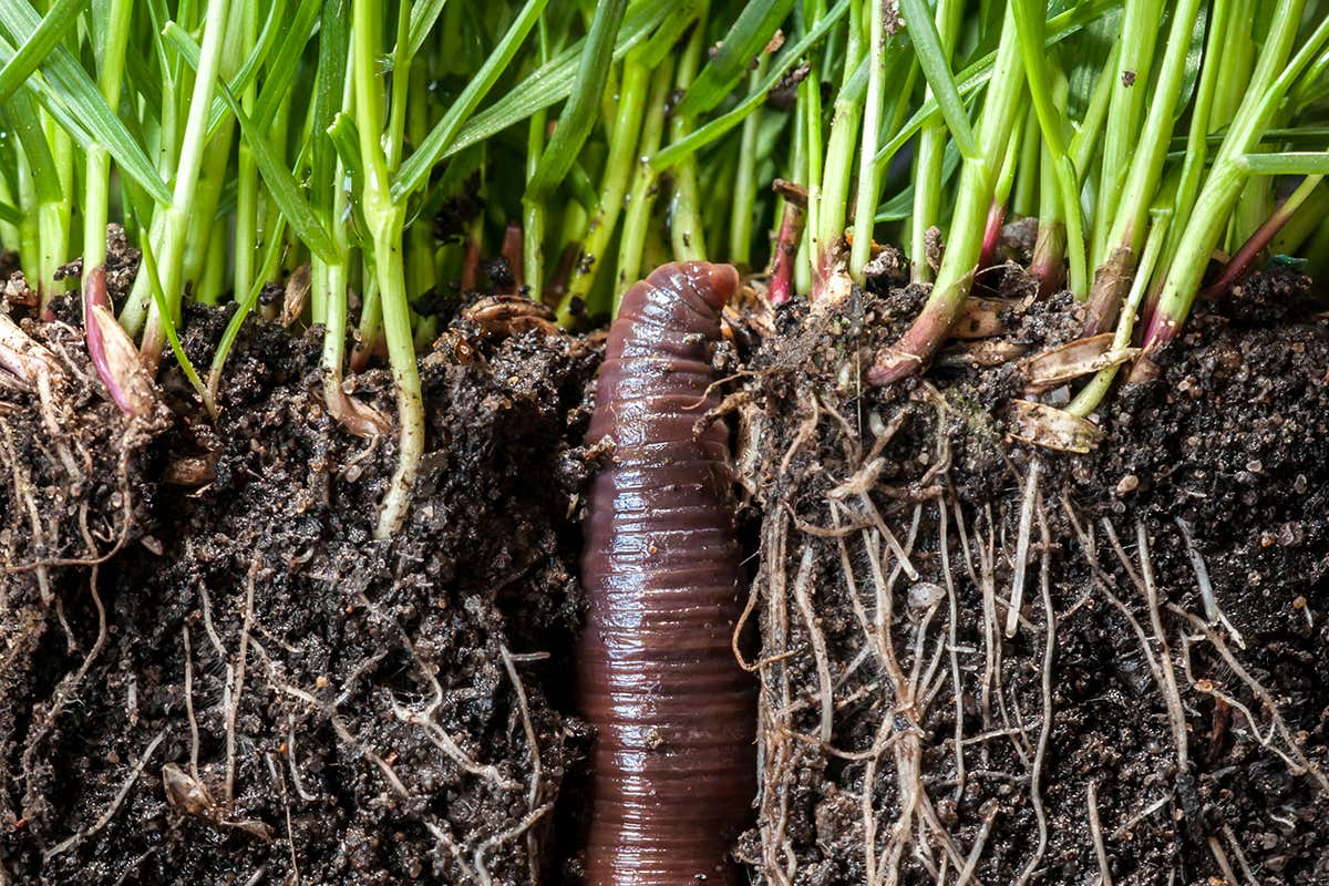 New Scientist. Science news and long reads from expert journalists, covering developments in science, technology, health and the environment on the website and the magazine.